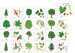 Galeria - zdjęcie nr. 2 - Memory Drzewa Polski