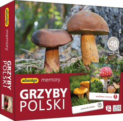 Memory Grzyby Polski