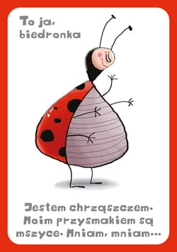 Galeria - zdjęcie nr. 4 - Memory ze zwierzętami