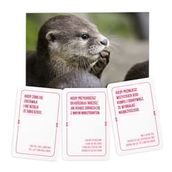 Galeria - zdjęcie nr. 2 - Memy 2: Imprezowa gra karciana