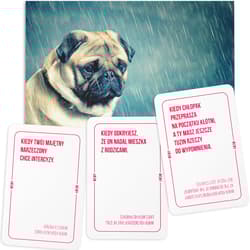 Galeria - zdjęcie nr. 2 - Memy: Imprezowa gra karciana