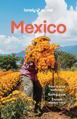 Mexico. Lonely planet - Lonely Planet, Balsam Joel, Jennifer Fernández Solano