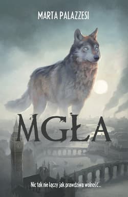 Mgła - ebook