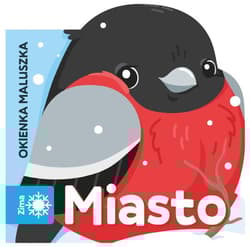 Miasto. Okienka maluszka - Opracowanie Zbiorowe