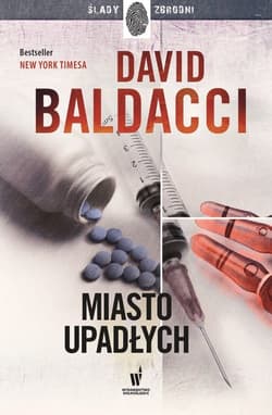 Miasto upadłych Amos Decker 4 - David Baldacci