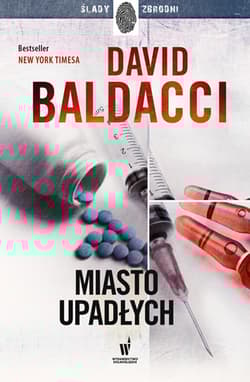 Miasto upadłych Amos Decker 4 - David Baldacci