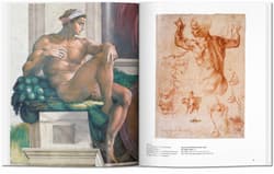 Galeria - zdjęcie nr. 4 - Michelangelo
