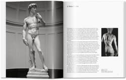 Galeria - zdjęcie nr. 3 - Michelangelo