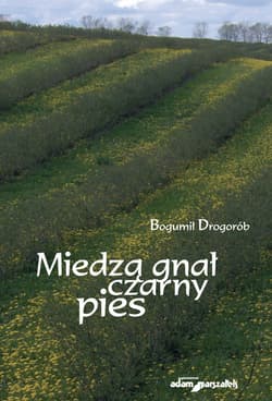 Miedzą gnał czarny pies - Bogumił Drogorób