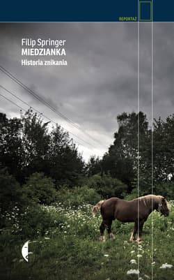 Miedzianka. Historia znikania - ebook - Filip Springer