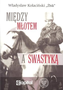 Między młotem a swastyką