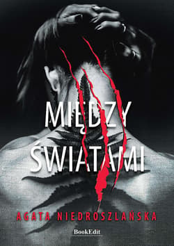Między światami - Agata Niedroszlańska