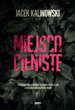 Miejsca cieniste - ebook - Jacek Kalinowski