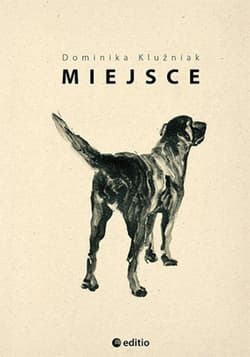 Miejsce - ebook - Dominika Kluźniak