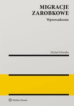 Migracje zarobkowe. Wprowadzenie do analizy - Michał Schwabe