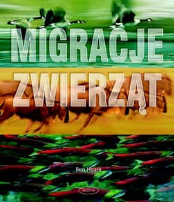 Migracje zwierząt - Ben Hoare