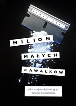 Milion małych kawałków - Frey James