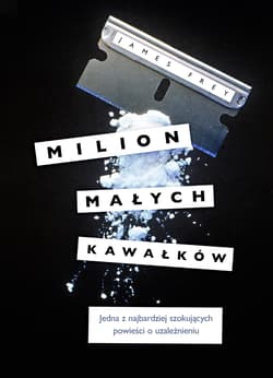 Milion małych kawałków - Frey James