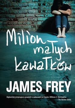 Milion małych kawałków - Frey James