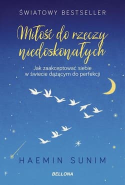 Miłość do rzeczy niedoskonałych - Sunim Haemin