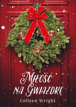 Miłość na Gwiazdkę - Colleen Wright
