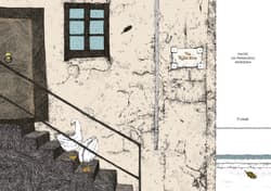 Galeria - zdjęcie nr. 3 - Miłość od pierwszego wejrzenia