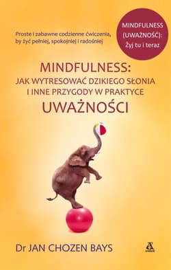 Mindfulness Jak wytrenować dzikiego słonia i inne przygody w praktyce uważności - Bays Chozen Jan