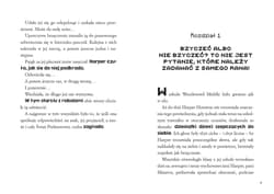 Galeria - zdjęcie nr. 4 - Minecraft. Projekt pszczoła. Saga Stonesword. Tom 4