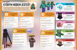 Galeria - zdjęcie nr. 2 - Minecraft. Rocznik 2025. Minecraft