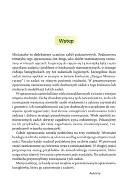 Galeria - zdjęcie nr. 4 - Miniatury matematyczne 73