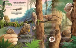 Galeria - zdjęcie nr. 2 - Minorki, czyli małe, mniejsze i najmniejsze stworzenia świata