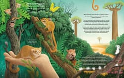 Galeria - zdjęcie nr. 3 - Minorki, czyli małe, mniejsze i najmniejsze stworzenia świata