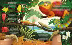 Galeria - zdjęcie nr. 4 - Minorki, czyli małe, mniejsze i najmniejsze stworzenia świata