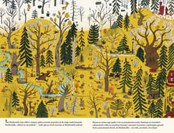 Galeria - zdjęcie nr. 4 - Misiowa piosenka