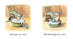 Galeria - zdjęcie nr. 2 - Miska Maksa