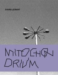 Mitochonrdium - Diana Lenart