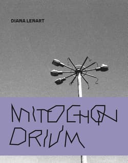 Mitochonrdium - Diana Lenart