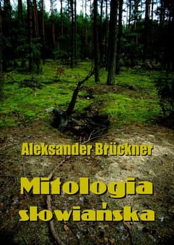 Mitologia słowiańska - ebook - Aleksander Bruckner