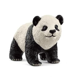 Młoda Panda Wielka