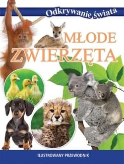 Młode zwierzęta Ilustrowany przewodnik