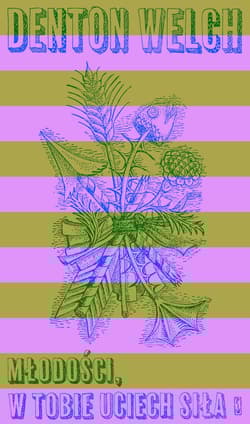 Młodości, w tobie uciech siła - Denton Welch