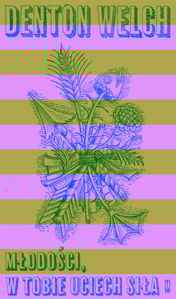 Młodości, w tobie uciech siła - Denton Welch