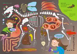 Galeria - zdjęcie nr. 3 - Mocarne zwierzęta