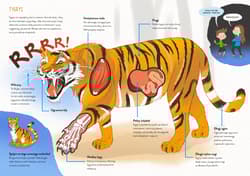 Galeria - zdjęcie nr. 4 - Mocarne zwierzęta