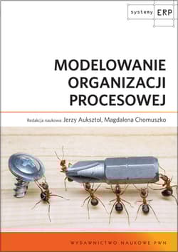 Modelowanie organizacji procesowej - Praca zbiorowa