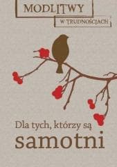 Modlitwy w trudnościach. Dla tych, którzy są... - Praca zbiorowa