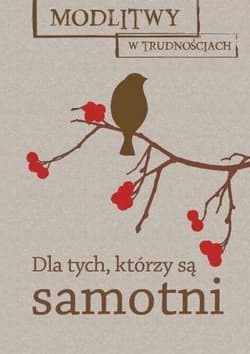 Modlitwy w trudnościach. Dla tych, którzy są... - Praca zbiorowa