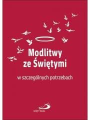 Modlitwy ze świętymi w szczególnych potrzebach - Praca zbiorowa