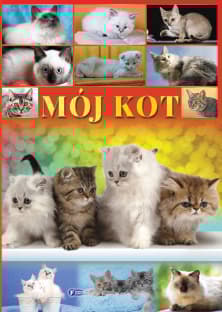 Mój kot - Studio Fenix