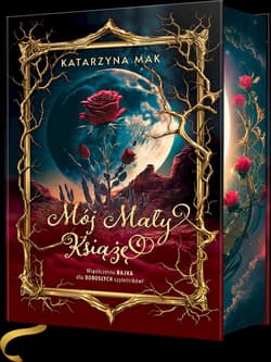 Mój Mały Książę (barwione brzegi) - Katarzyna Mak